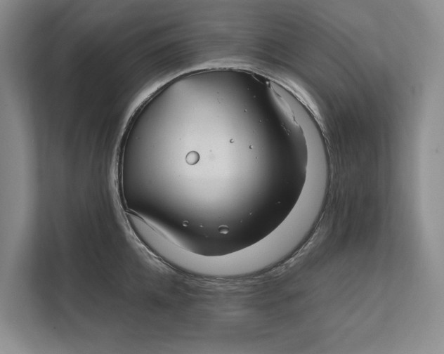 X0000111840952200908131416