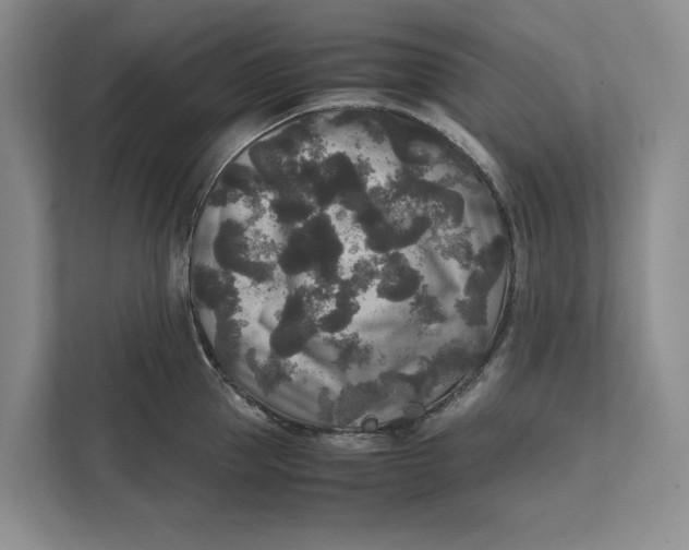 X0000111840953200908131416