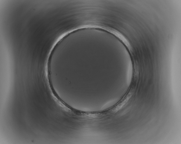 X0000111840958200908131416