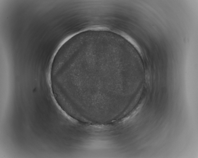 X0000111840959200908131416