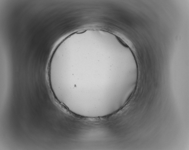 X0000111840960200908131416