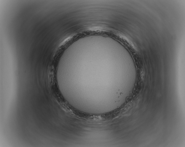 X0000111840968200908131415