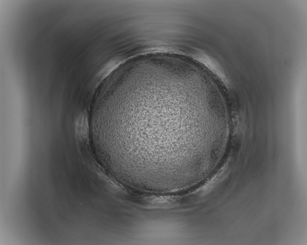 X0000111840969200908131415