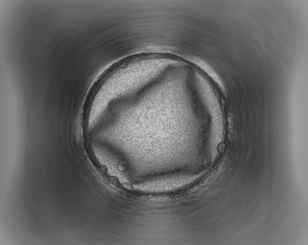 X0000111840972200908131415