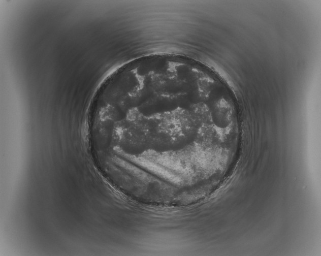 X0000111840975200908131415