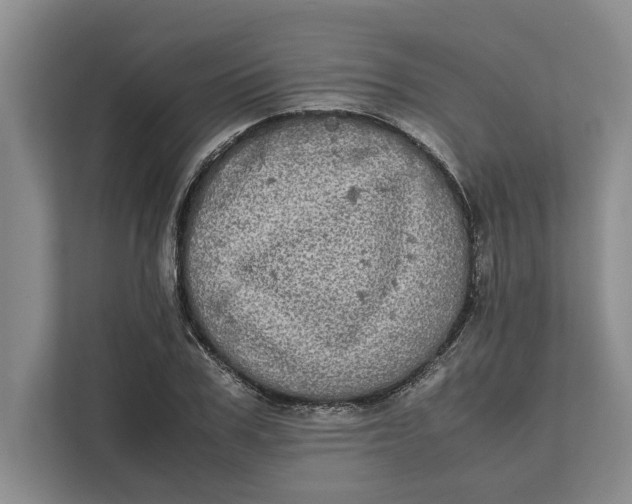 X0000111840979200908131415