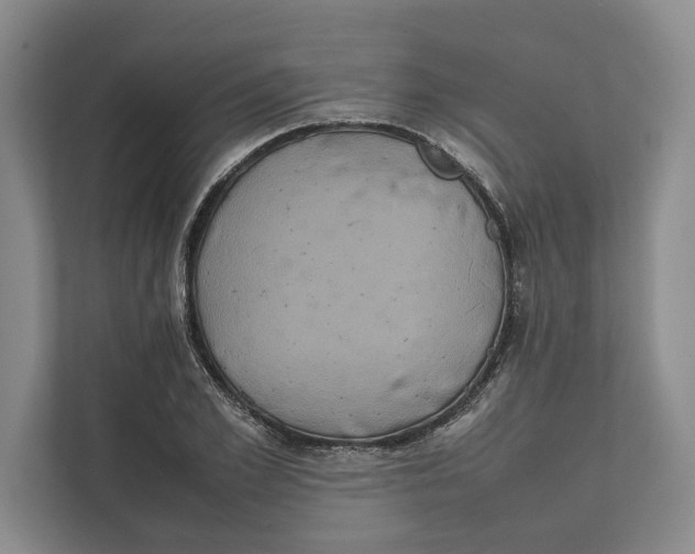 X0000111840981200908131415