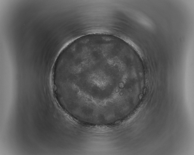 X0000111840983200908131415