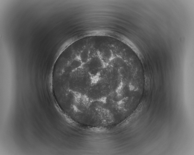 X0000111840994200908131415