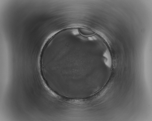 X0000111840995200908131415