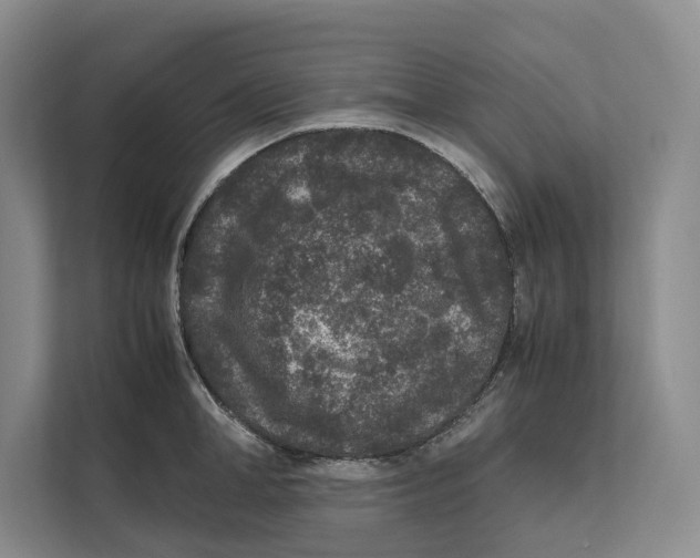 X0000111840998200908131415