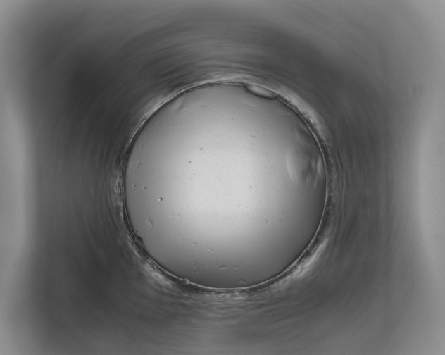 X0000111841001200908131415