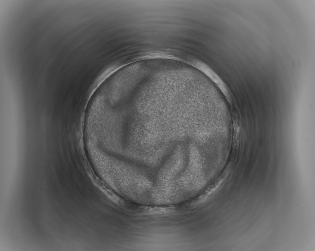 X0000111841002200908131415