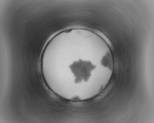 X0000111841004200908131415