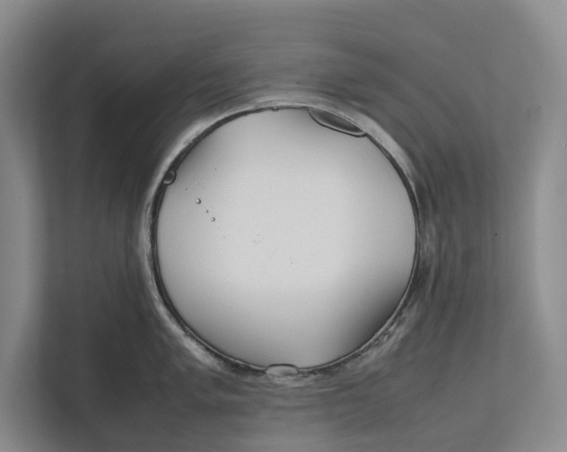 X0000111841005200908131415