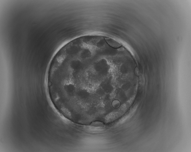 X0000111841007200908131415