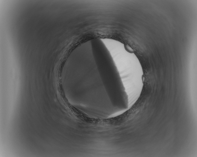 X0000111841009200908131414