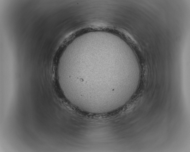 X0000111841016200908131414