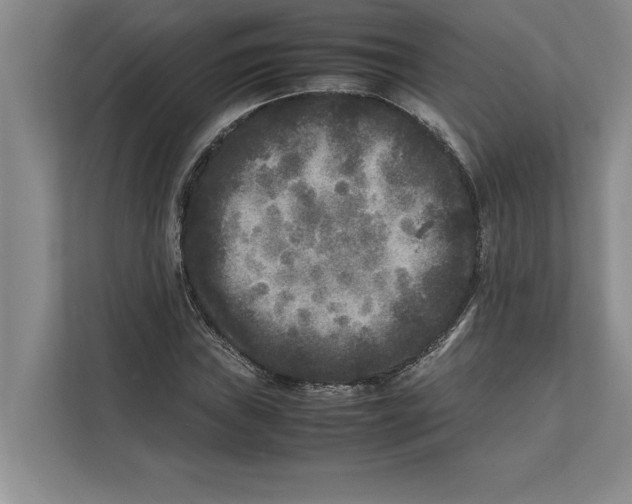 X0000111841019200908131414