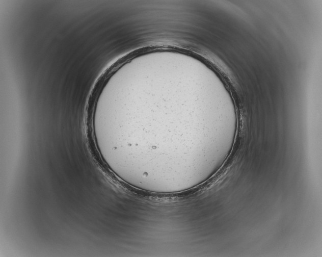 X0000111841020200908131414