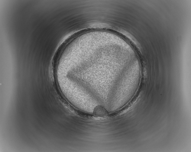 X0000111841022200908131414