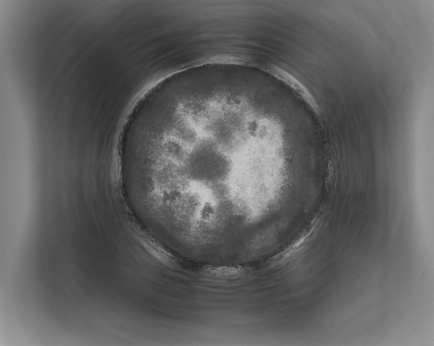 X0000111841027200908131414