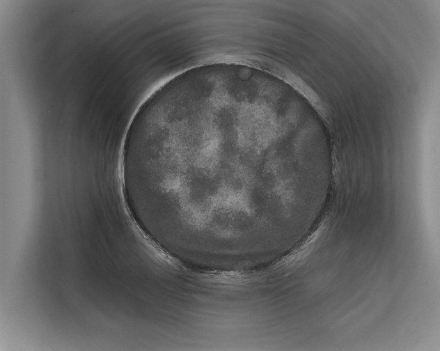 X0000111841028200908131414