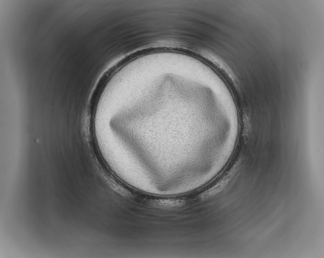 X0000111841029200908131414