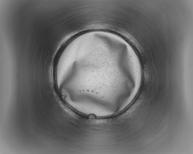 X0000111841030200908131414