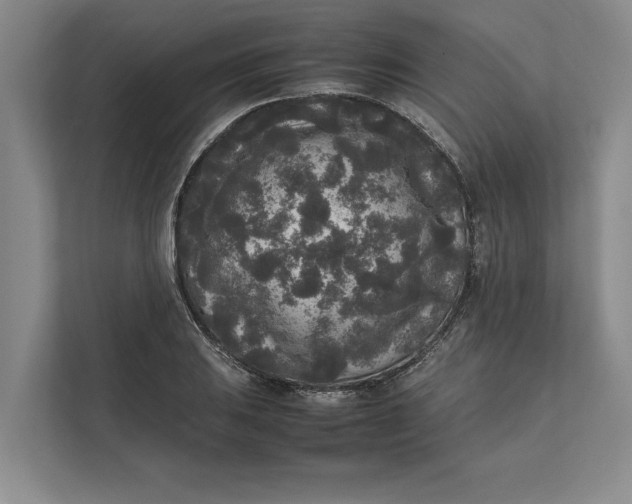 X0000111841031200908131414