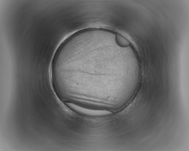 X0000111841032200908131414