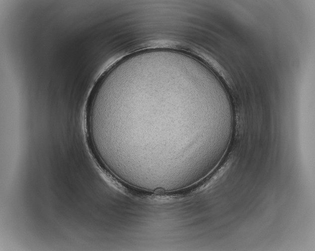 X0000111841034200908131414