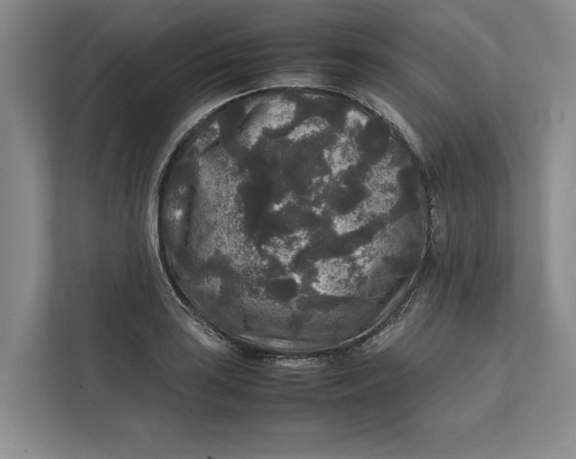 X0000111841035200908131414