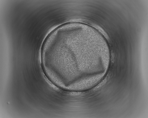 X0000111841036200908131414