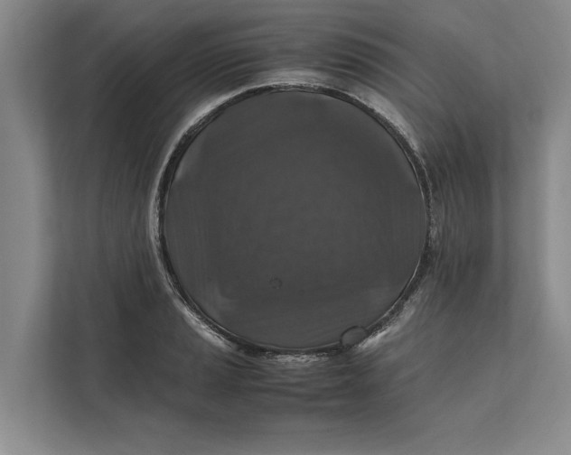 X0000111841037200908131414