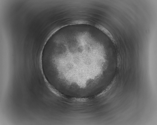 X0000111841039200908131414