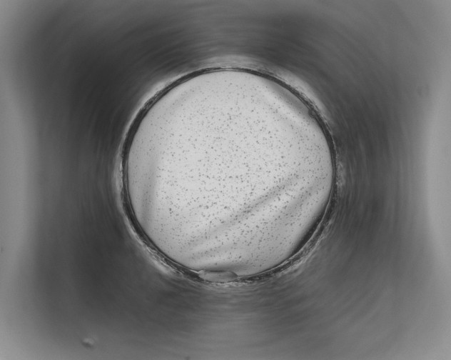 X0000111841040200908131414