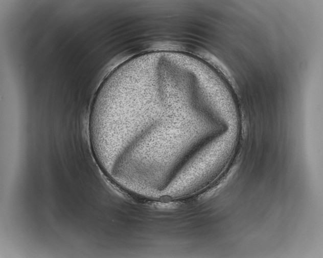 X0000111841041200908131415