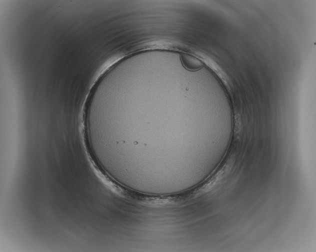 X0000111841042200908131415