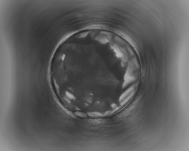 X0000111841045200908131415