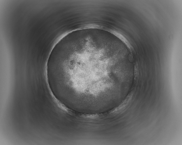 X0000111841047200908131415