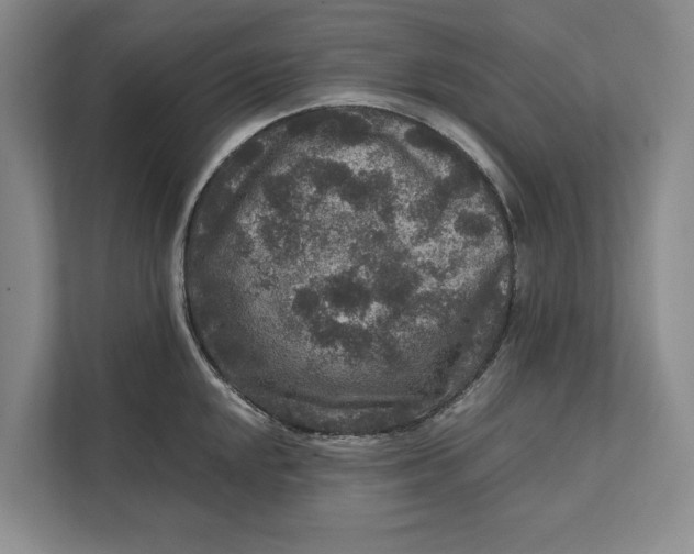 X0000111841048200908131415