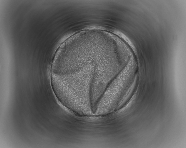 X0000111841049200908131415