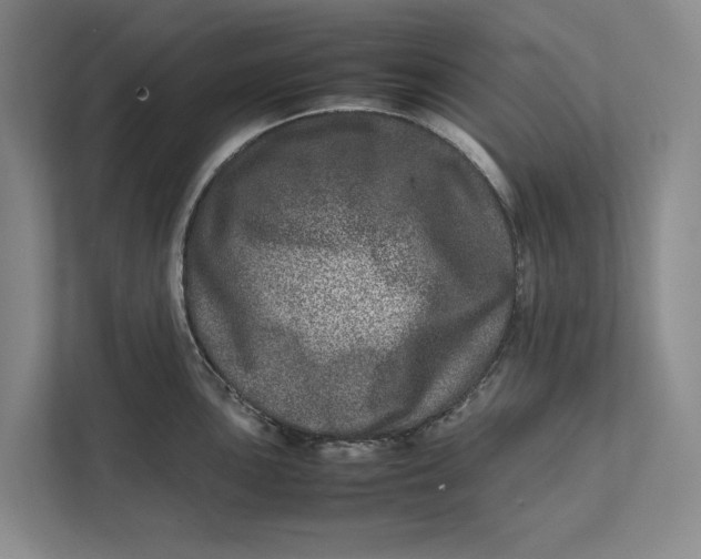 X0000111841051200908131415