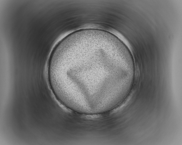 X0000111841053200908131415