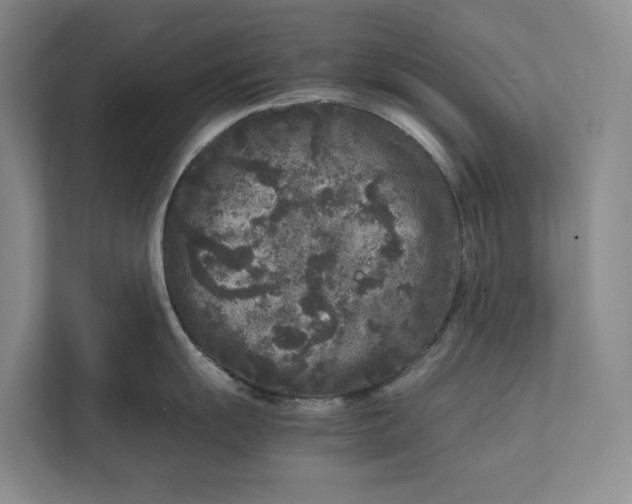 X0000111841055200908131415