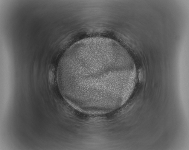 X0000111841059200908131414