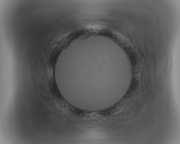 X0000111841061200908131414