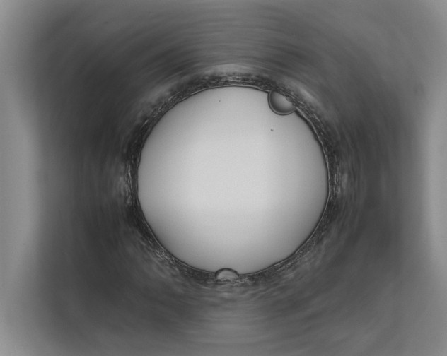 X0000111841062200908131414