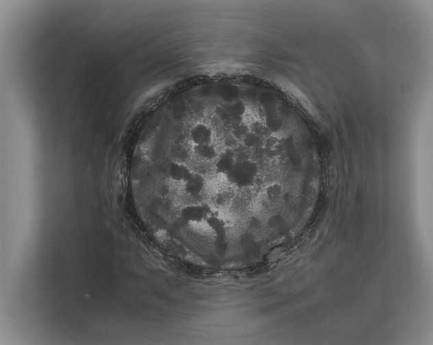 X0000111841063200908131414